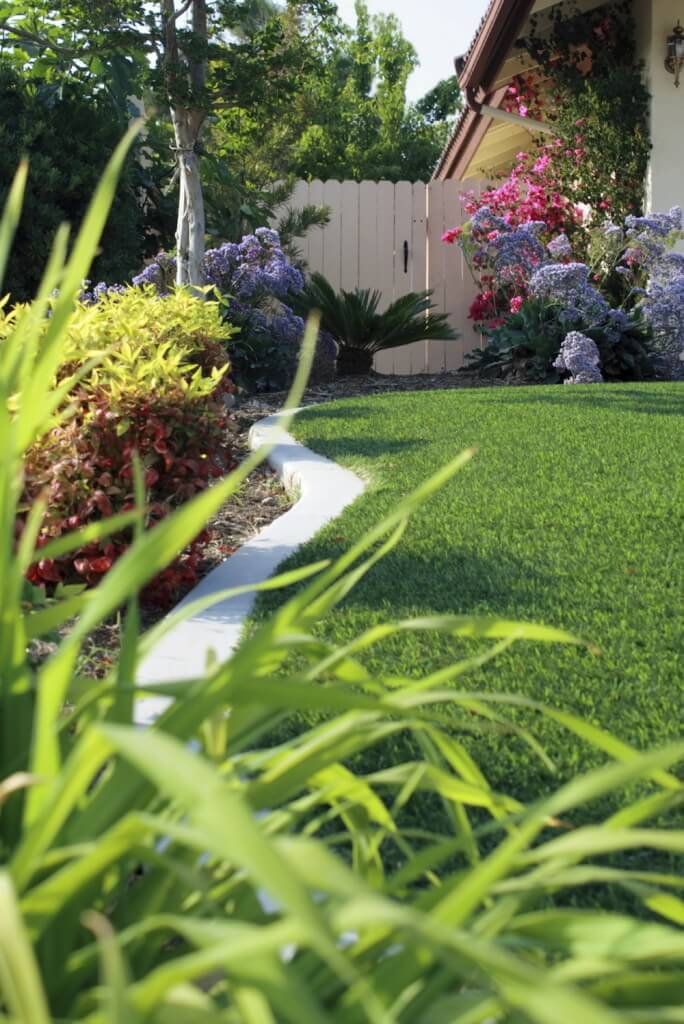 Curved lawn with artificial grass