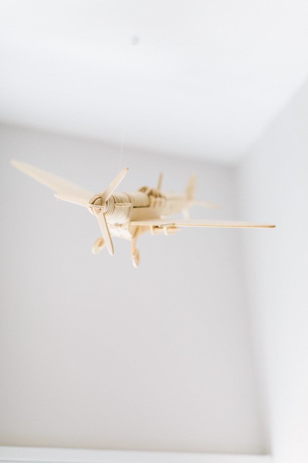 Plywood model aeroplane