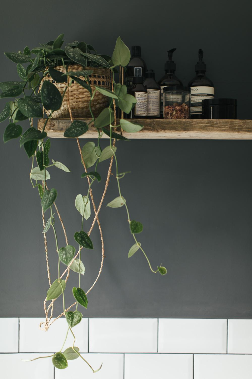 trailing plant and reclaimed shelf