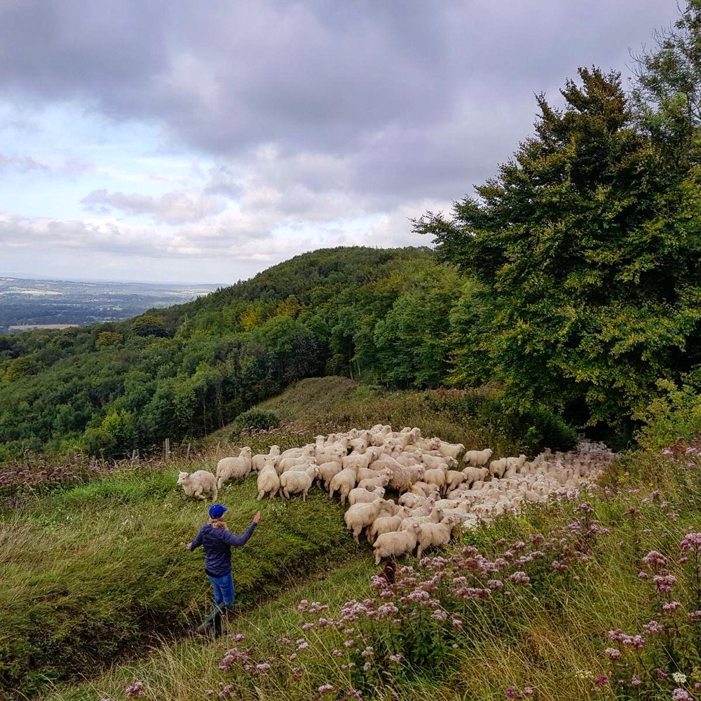 Laura Gilmour Female Shepherd and Farmer