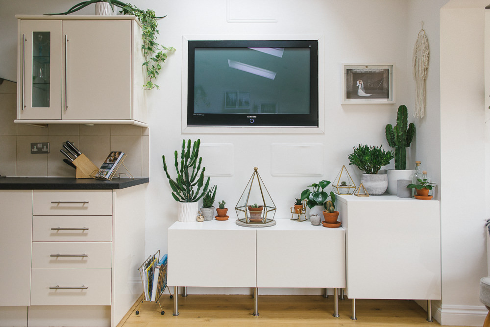 Light and airy kitchen diner with houseplants