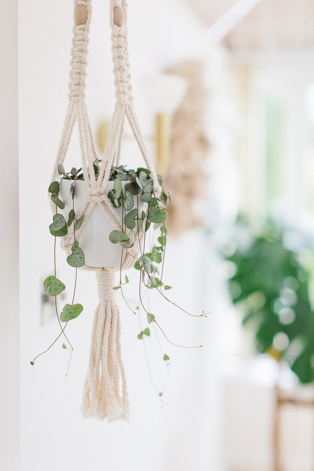 Boho hanging planter with trailing ivy