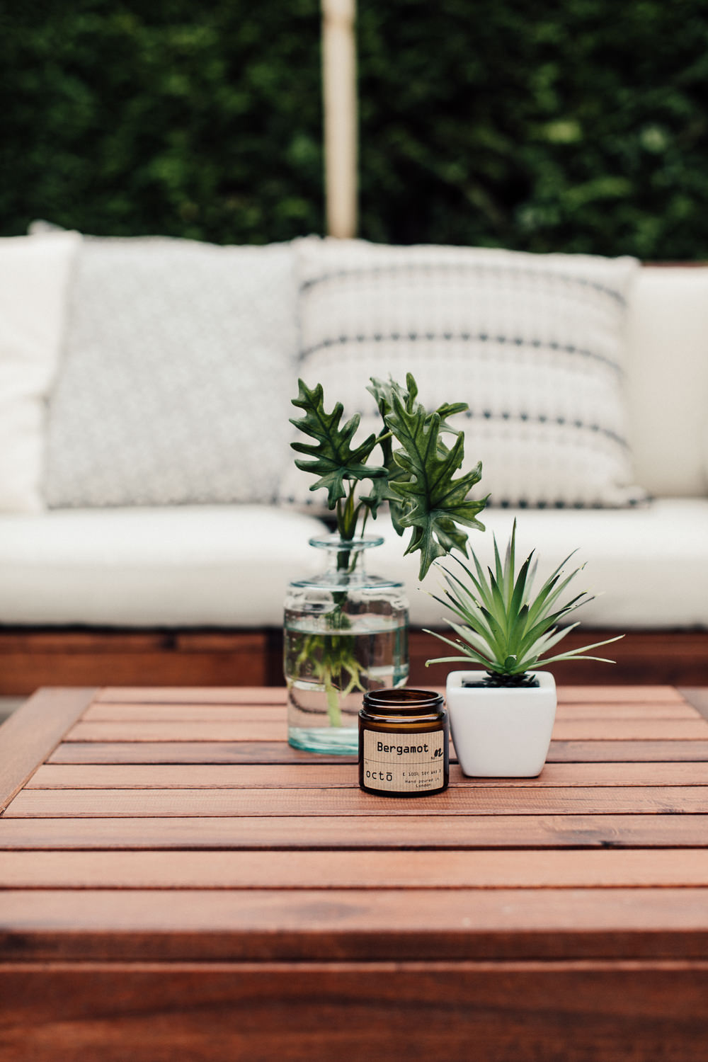 Succulent and candles in outdoor lounge
