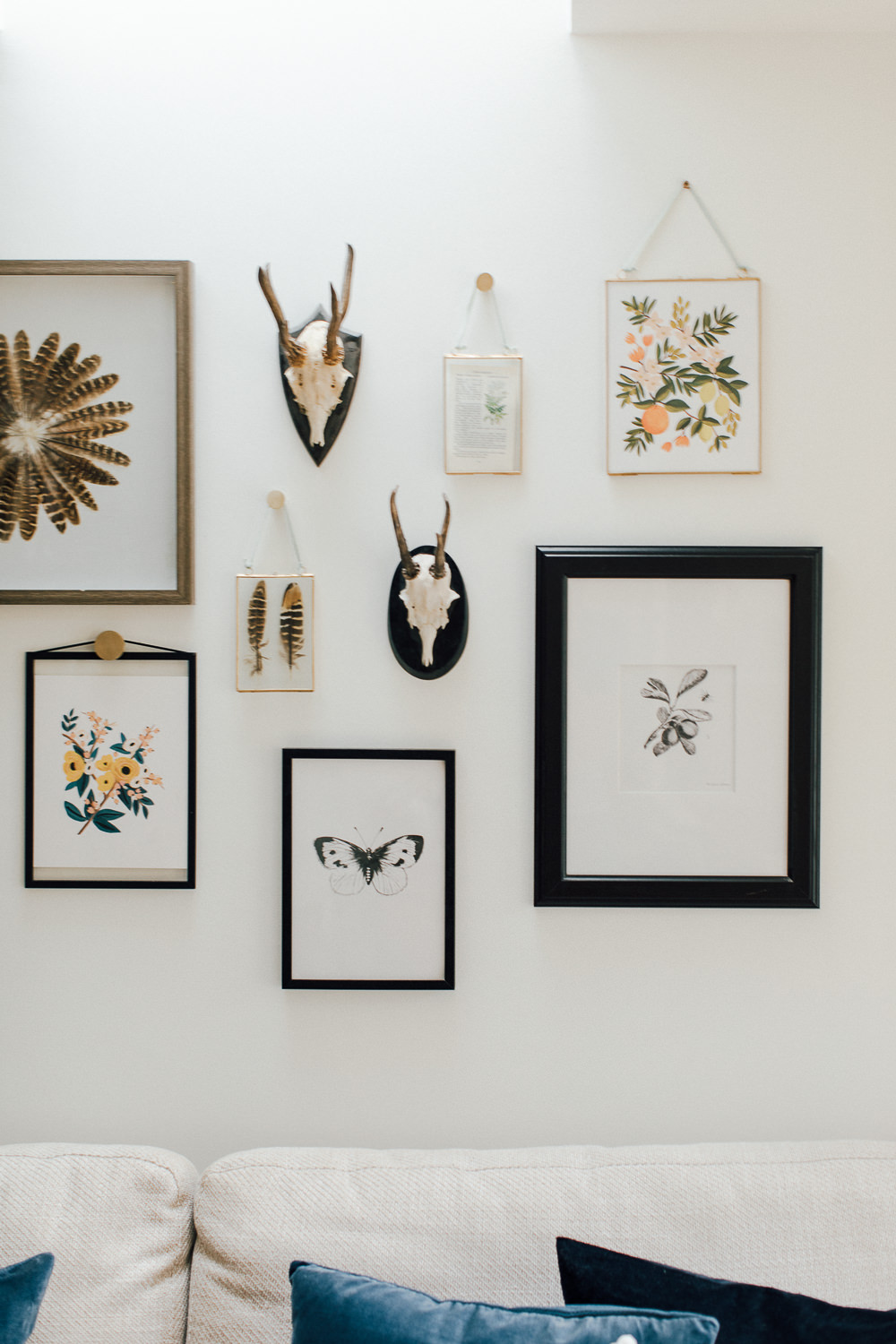 Gallery wall including pheasant feathers