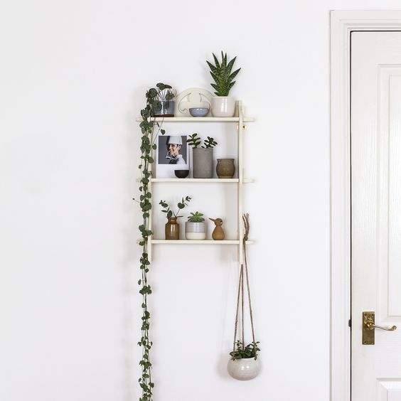 Shelf with hanging plants
