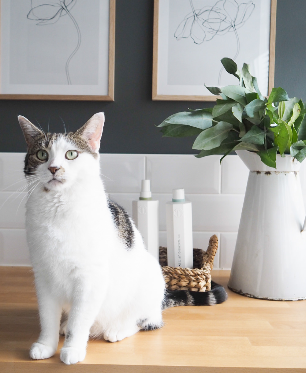 Utility Room Makeover {Claire's Light and Bright Utility}