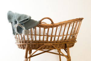 Moses Basket